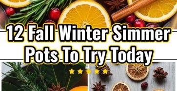 Easy Fall Winter Simmer Pot Recipes Seasonal Orange Apple