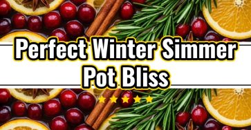 The Perfect Winter Simmer Pot Dried Orange Cranberry Stovetop Potpourri